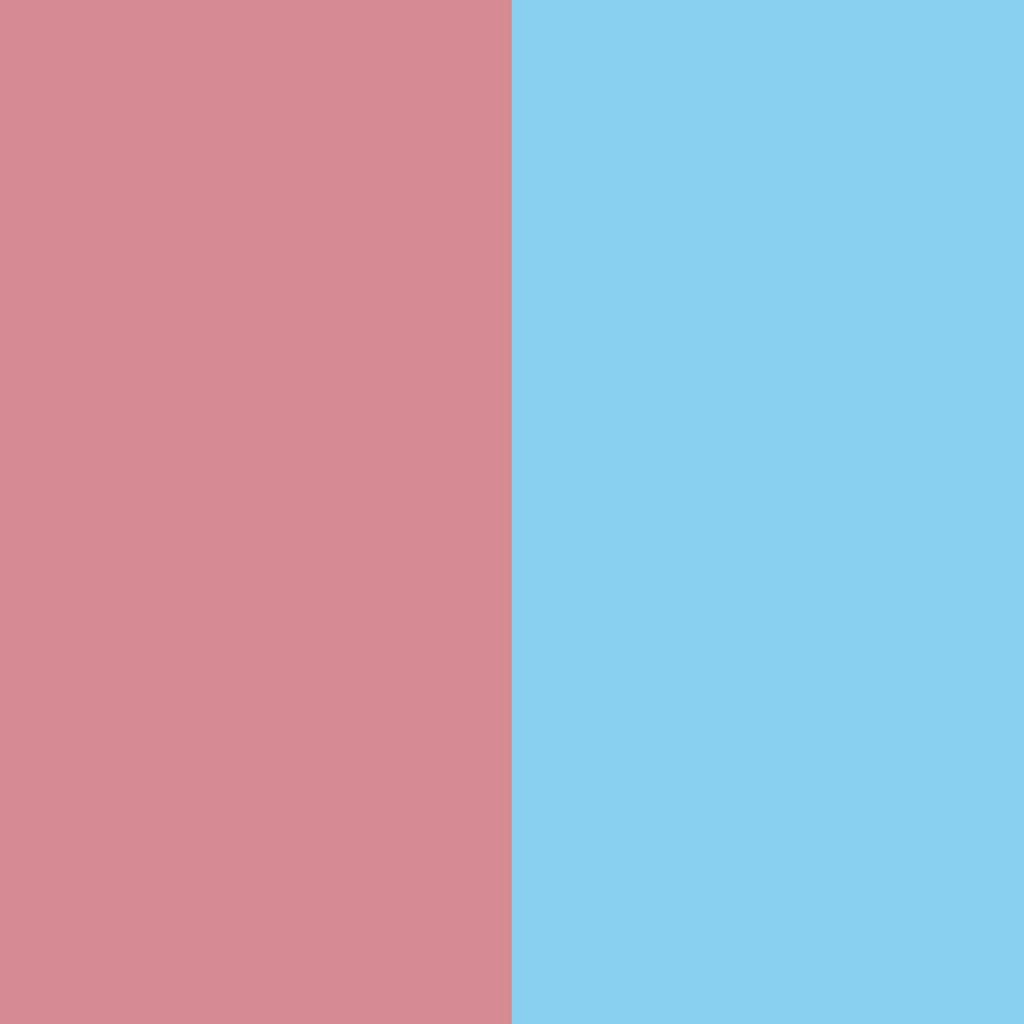 Dusty Pink and Baby Blue Color Palette