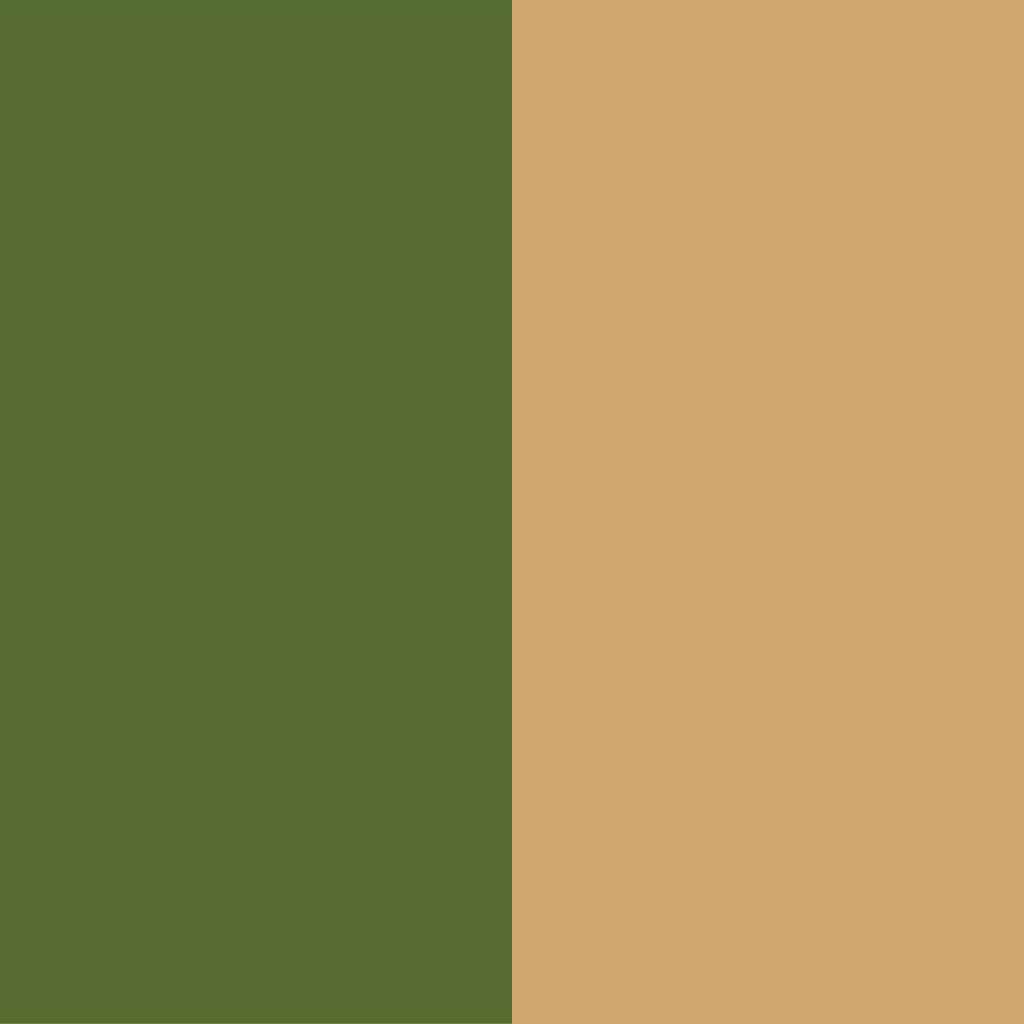 Olive Green and Warm Brown Color Palette