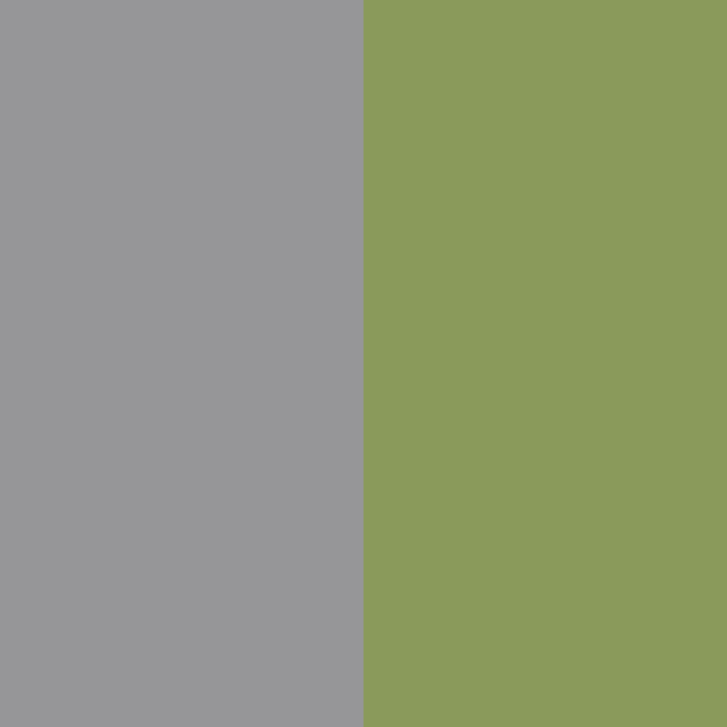Stone Grey and Moss Green Color Palette
