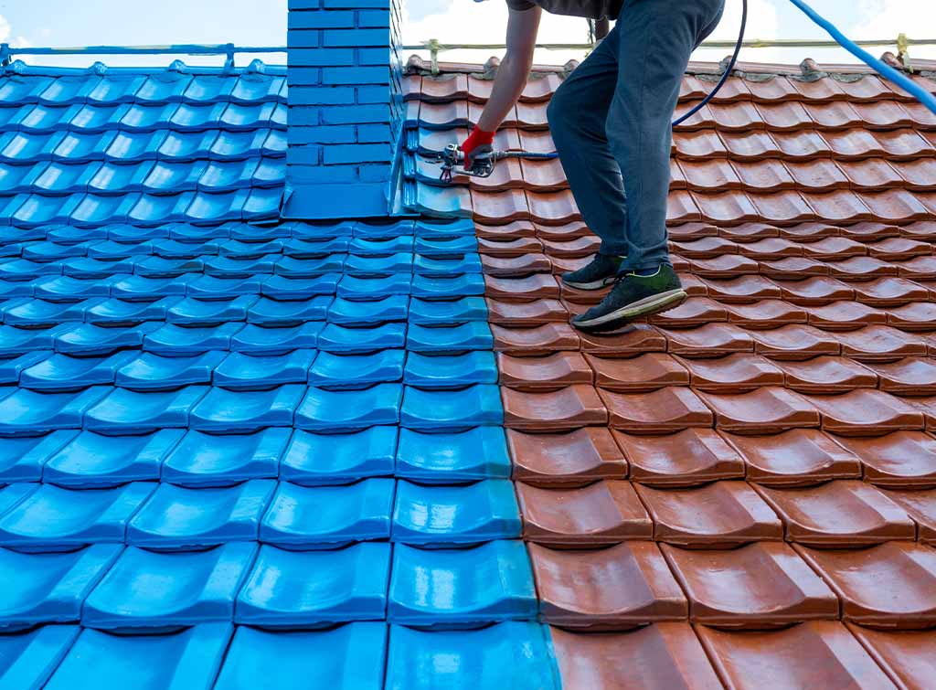 Roof Painting Services